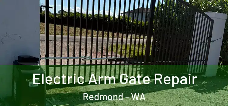 Electric Arm Gate Repair Redmond - WA