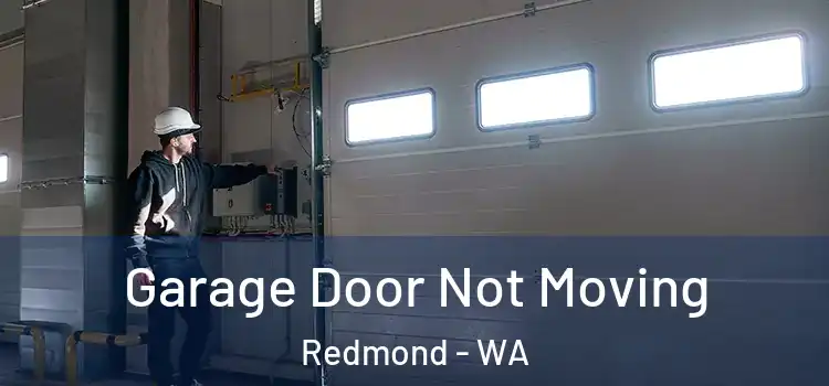  Garage Door Not Moving Redmond - WA