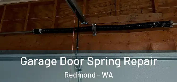  Garage Door Spring Repair Redmond - WA