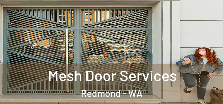 Mesh Door Services Redmond - WA
