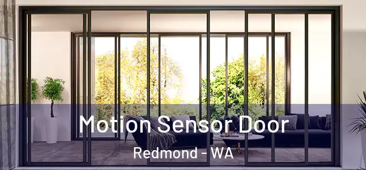 Motion Sensor Door Redmond - WA