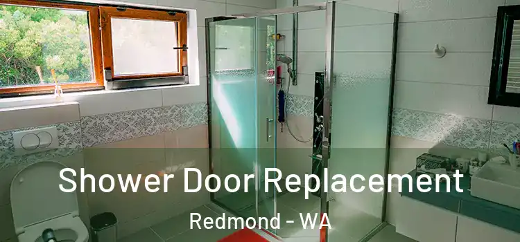 Shower Door Replacement Redmond - WA